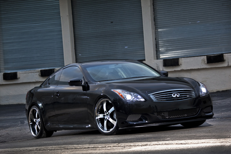 Infiniti G37: Part of the problem here I think comes from how someone can easily get their hands on them for cheap, just like the Mustang.
